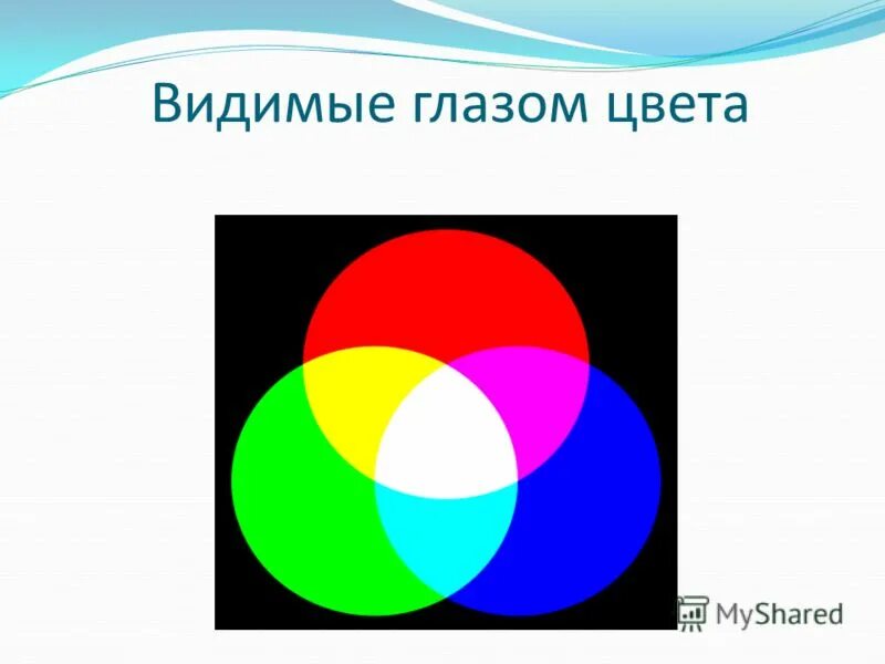 Видемые. Три основных цвета зрения. Три основных цвета которые видит человек. Цвета которые воспринимает глаз. Три основных цвета которые воспринимает глаз.