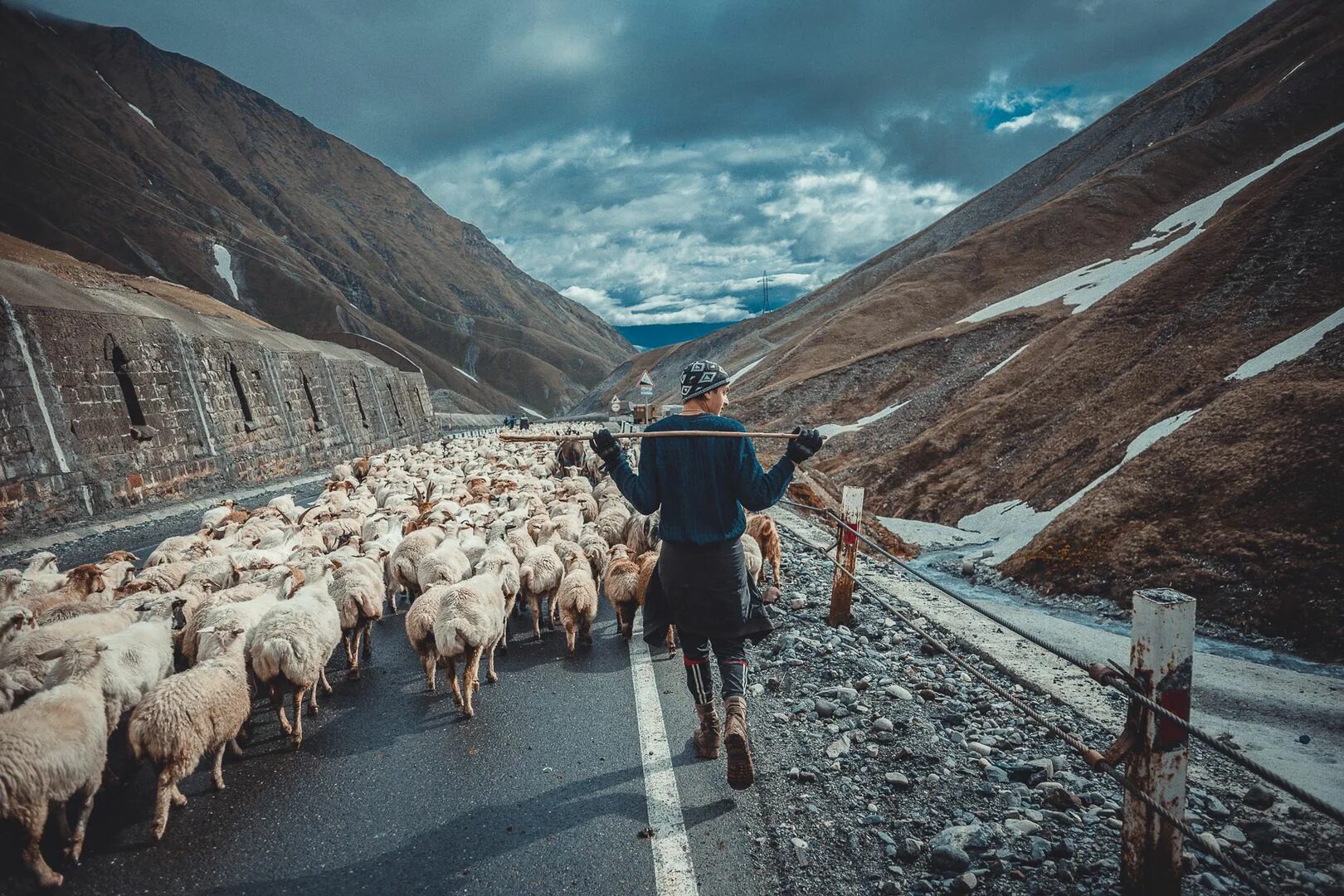 Казах чабан. Чабан пастух овец. Чабан пастух овец. Чабаны в грузии. Чабан пастух.