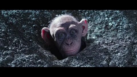 Восстание обезьян 3