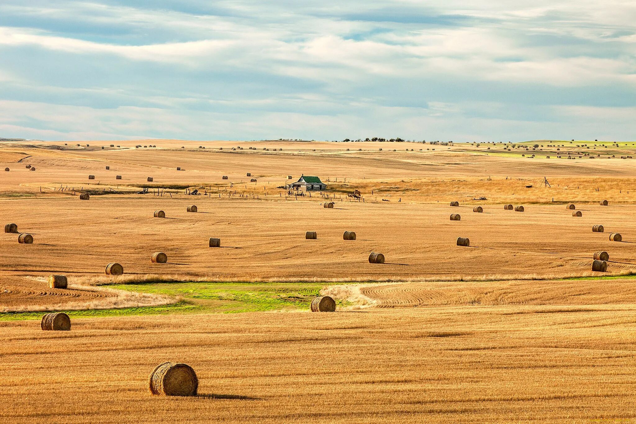 Сад гигант ингушетия. Сады ингушетии яблоневые. Поле вид сверху. Поле вид сверху. Поля с воздуха.