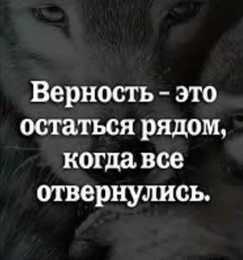 Определение слова верность. Высказывания о преданности. Верность текст. Верность это определение для сочинения. Что такое верность сочинение.