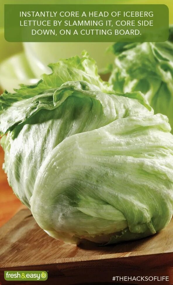 Айсберг овощ. Латук кочанный. iceberg lettuce. marul iceberg. салат айсберг вилок.
