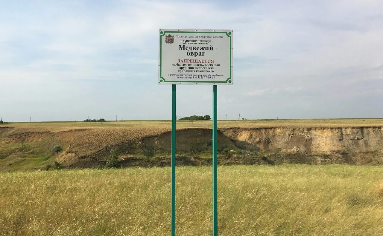 животноводство в шемышейском районе. ферма тоцкого пенза. ферма тоцкого пенза официальный сайт. стелла с тоцкое оренбургской области. ферма тоцкого пенза.