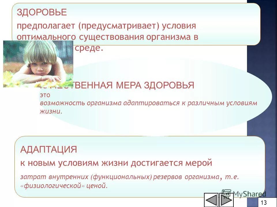 компоненты культуры здоровья. культура здоровья презентация.