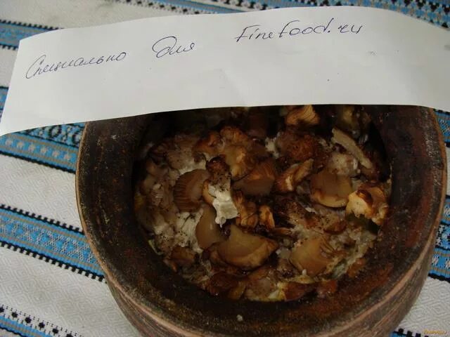 горшочки с мясом и картофелем. вешенки в ведре. жаркое в горшочках с курицей. вешенки в квартире. грибы марин вешенки.