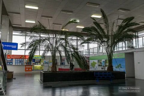 Автобус аэропорт гумрак