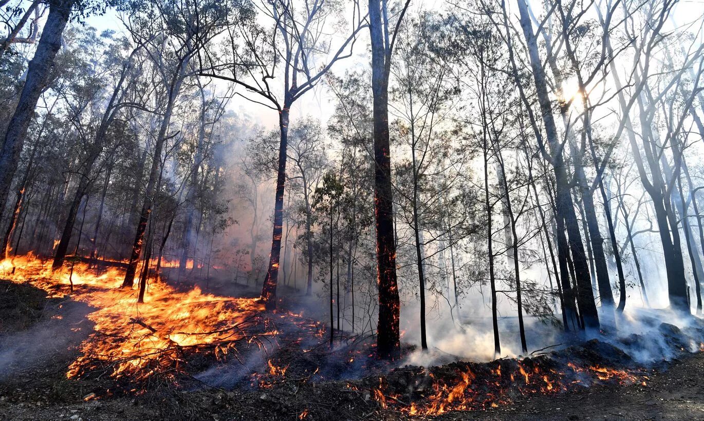 Фотографии будут огонь. Человек на фоне огня. Фотографии будут огонь. Огонь. Фотографии будут огонь.