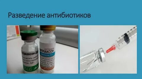Развести антибиотик в воде