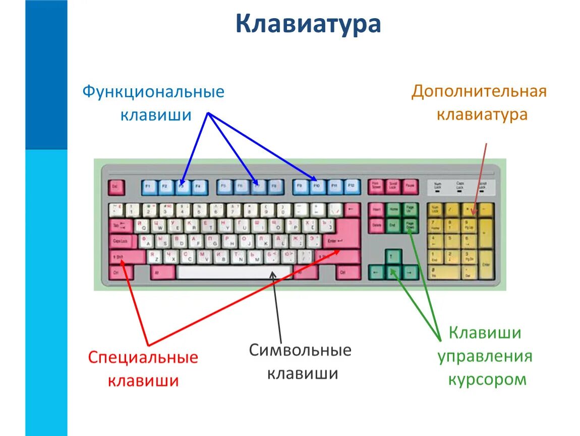 Найти на сайте какие клавиши. Клавиши дополнительной клавиатуры Информатика 5. Клавиатура схема группы клавиш функциональные. Какие кнопки управления на клавиатуре компьютера. Схема клавиатуры компьютера какая кнопка.