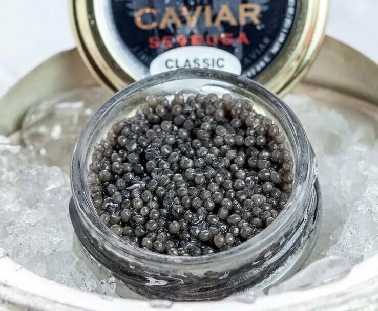 Цена самой дорогой икры. Caviar икра Золотая. Икра севрюги. Самый дорогой вид икры. Самая дорогая черная икра.
