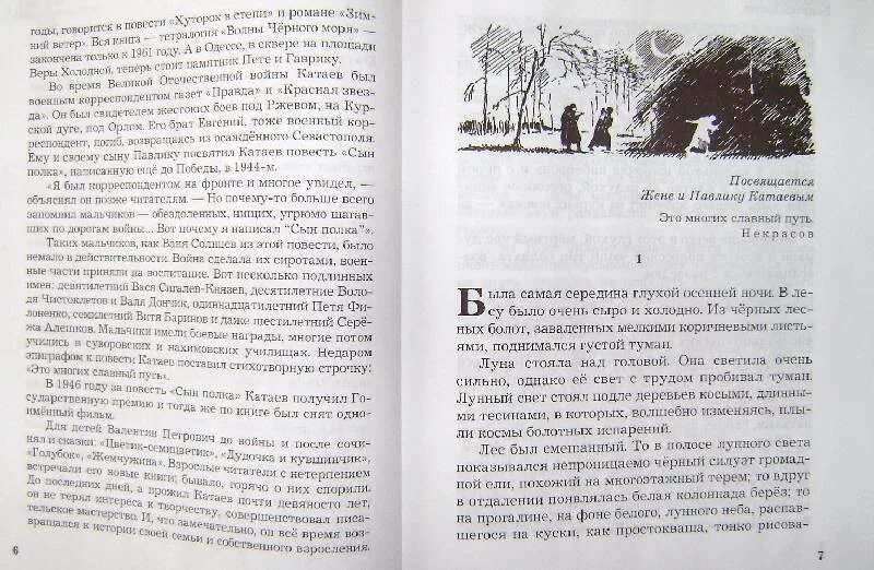 Цитаты из повести катаева сын полка. Катаев сын полка обложка книги. катаев сын полка иллюстрации к книге.