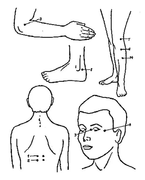 Основа точечного массажа. Точки акупунктуры при диабете 2 типа. Акупунктурные точки при диабете 2 типа. Акупунктурные точки при сахарном диабете 2 типа. Акупунктура при сахарном диабете 2 типа.