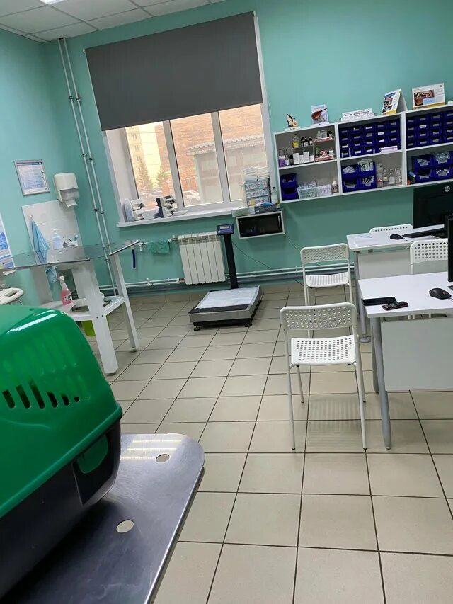 Ветклиника акелла красноярск. Ветеринарка красноярск. Провет красноярск. Провет красноярск. Провет красноярск.