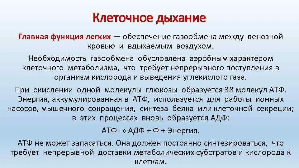 Дыхательную функцию выполняют клетки. Роль клеточного дыхания. Альтернативные функции клеточного дыхания. Функции клеточного дыхания. Функции клеточноготдыхания.