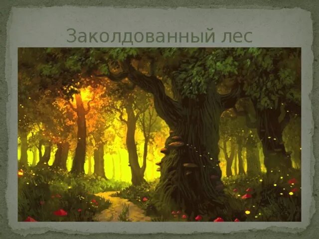 Лес эльфов. Волшебный страшный лес. Дом гнома в лесу. Волшебный лес. Сказочные леса.