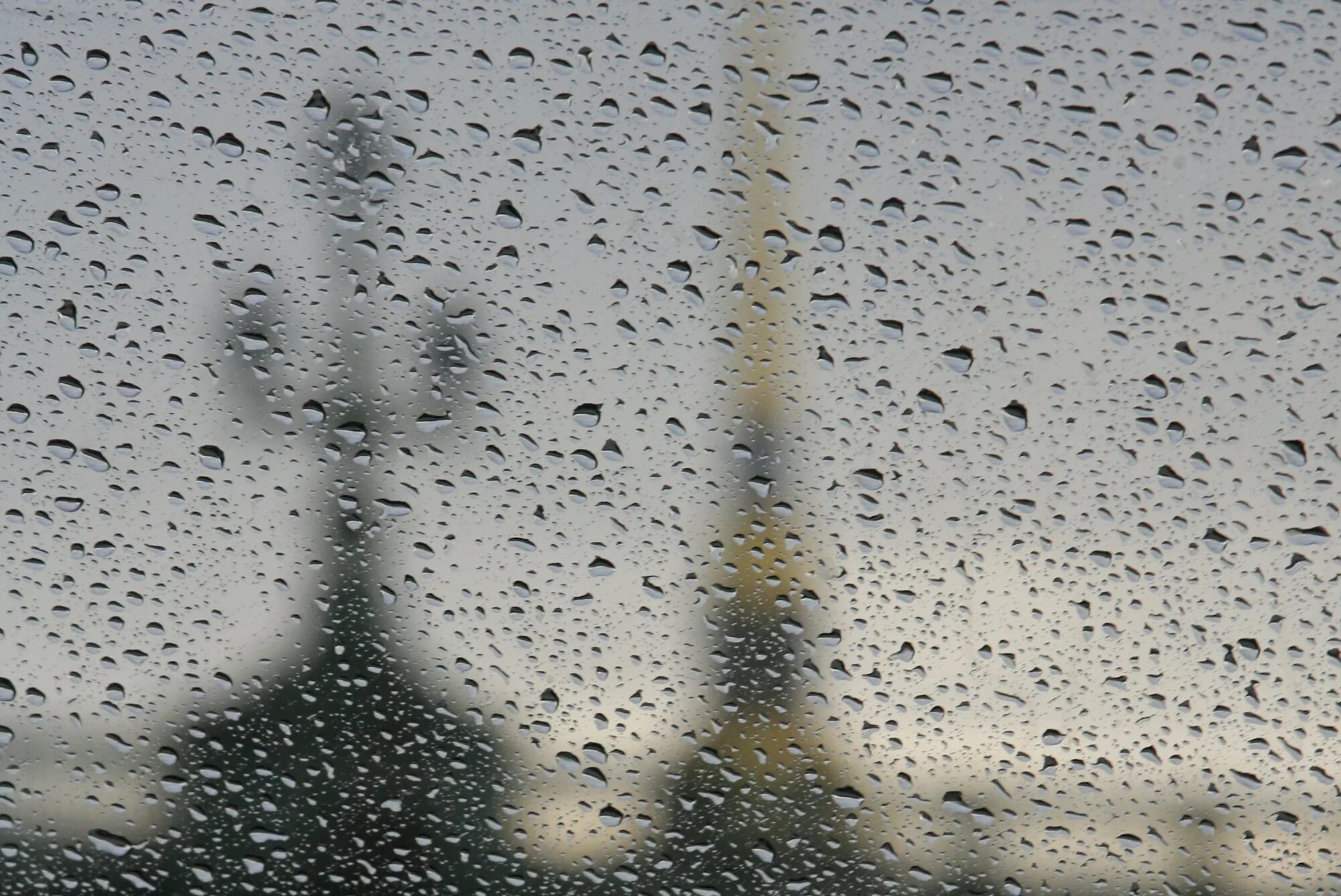 10 00 00 дождь. Теплый дождь. Октябрьский дождь. Дождь из окна. Фото Октябрьский дождь.