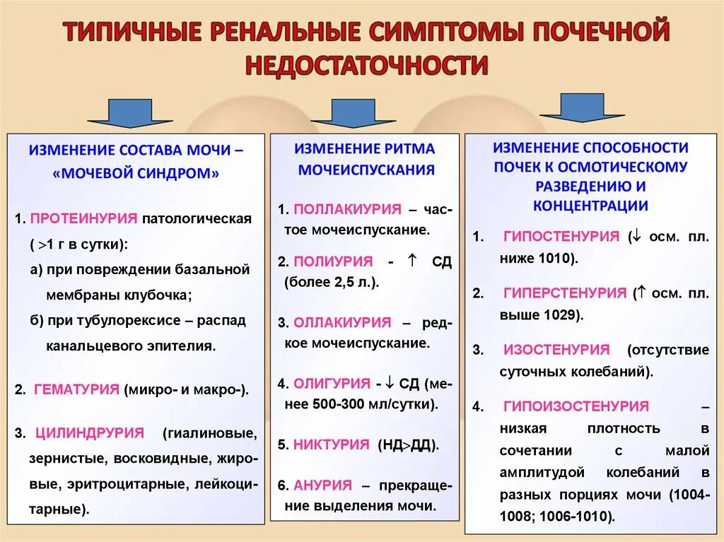 Проявления почечной недостаточности. Хроническая почечная недостаточность симптомы. Прчечная недостаточностьсимптомы. Хроническая почечная недостаточность основные проявления. Одной из причин почечной недостаточности является