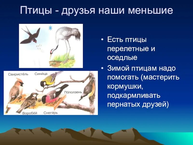 Что такое осёдлый образ жизни у птиц. Оседлые Кочующие и перелетные птицы. Оседлые зимующие и перелетные птицы.