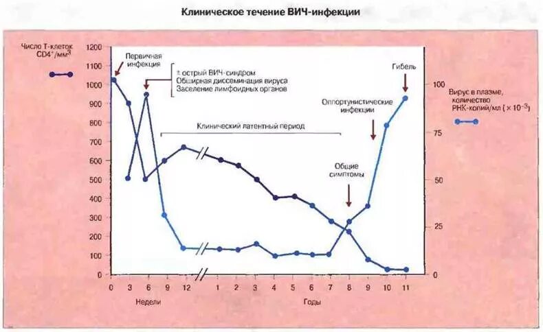 Течение вич инфекции. Течение ВИЧ инфекции схема. График развития ВИЧ. ВИЧ инфекция график заражения. ВИЧ cd4 стадии.