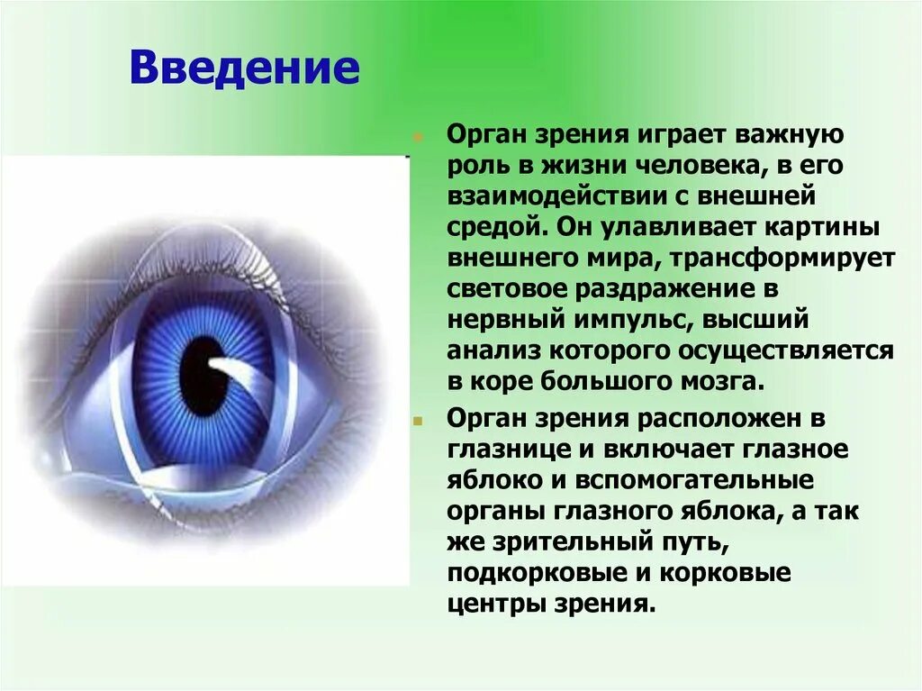 Реферат на тему глаза. Орган зрения. Сообщение на тему орган зрения. Доклад на тему глаза орган зрения. Презентация на тему зрение.