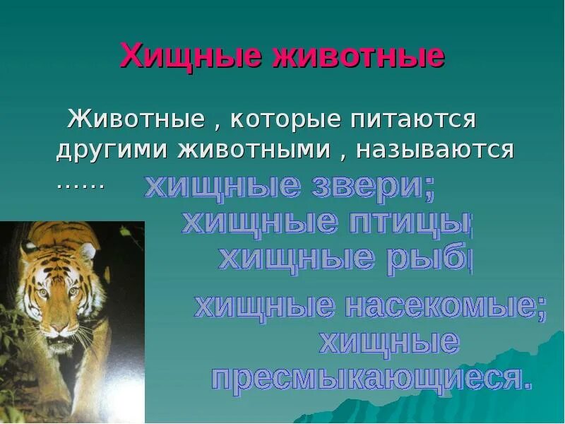 Кого из животных называют. Хищные животные примеры. животные которые питаются другими животными. животные которые питаются только другими животными называются. хищные животные это животные которые питаются.