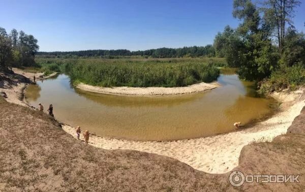 Лесовичок турбаза Воронеж. Пляж в Бабяково Воронеж. Бабяково турбаза Воронеж. Лагерь Лесовичок Воронеж.