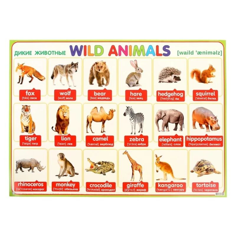 дикие животные для дошкольников. дикие животные писать. плакат "дикие животные". дикие и домашние животные. детёныши животных для детей.