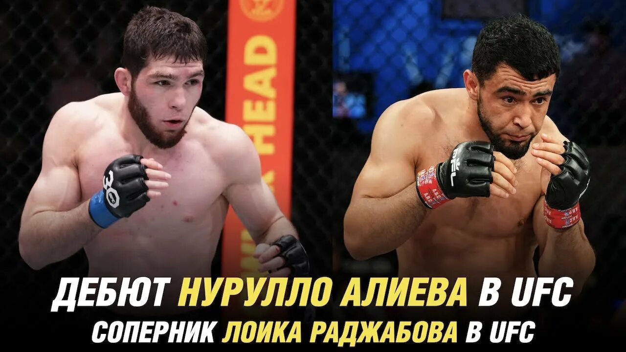 Ufc прямой эфир лоик раджабов. Нурулло Алиев UFC. Юфс 285 Лоик Раджабов. Алиева ММА.