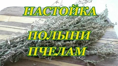 Настой полыни для пчел