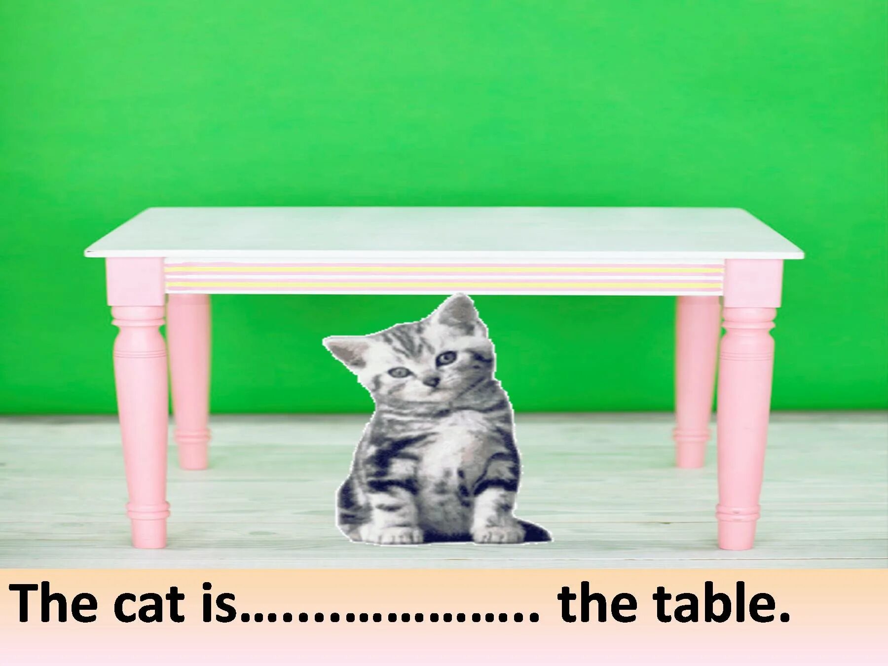 The cat is the chair. The Cat is under the Table. Behind the Table. Cat on the Table. Cat under.