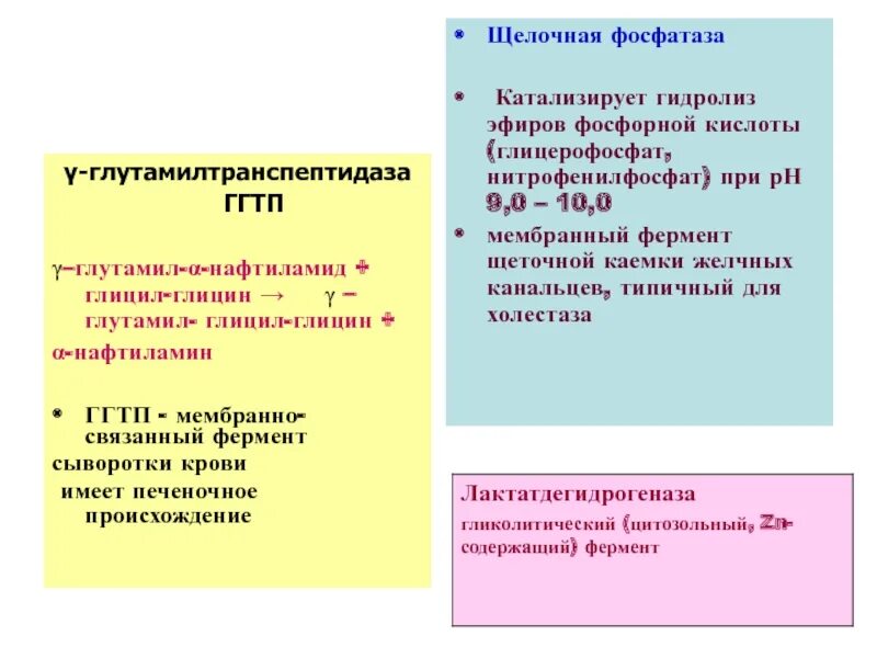 Повышение ггтп. Ггтп. Ггтп анализ норма. Ггтп анализ повышен. Ггтп гамма глутамилтранспептидаза что это.