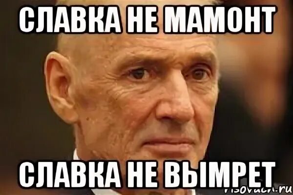 человек не мамонт не вымрет слушать