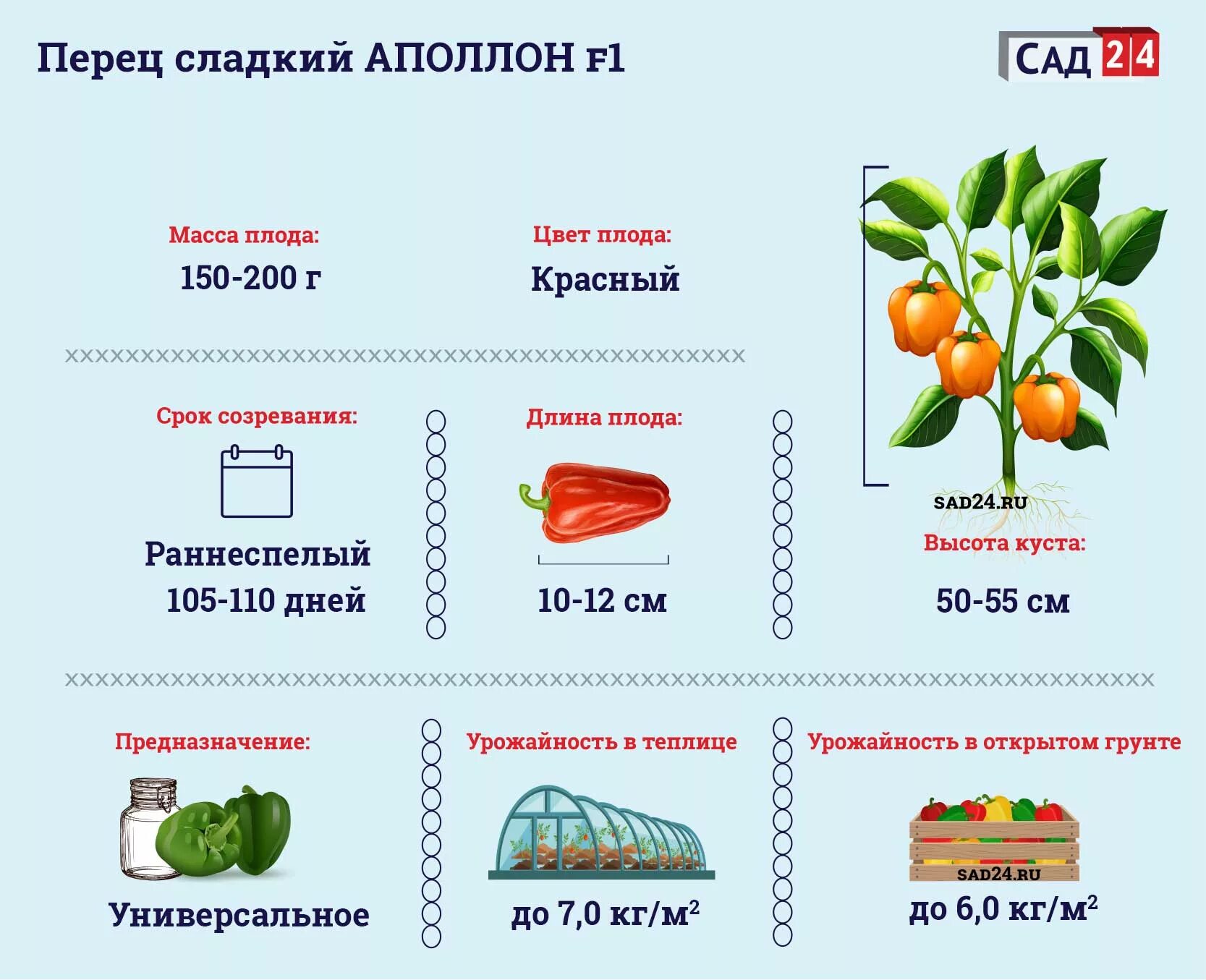 Перец сладкий Капия. Перец сорт Капия. Сроки созревания сладкого перца. Урожайность сладкого перца с куста. Капия характеристика и описание