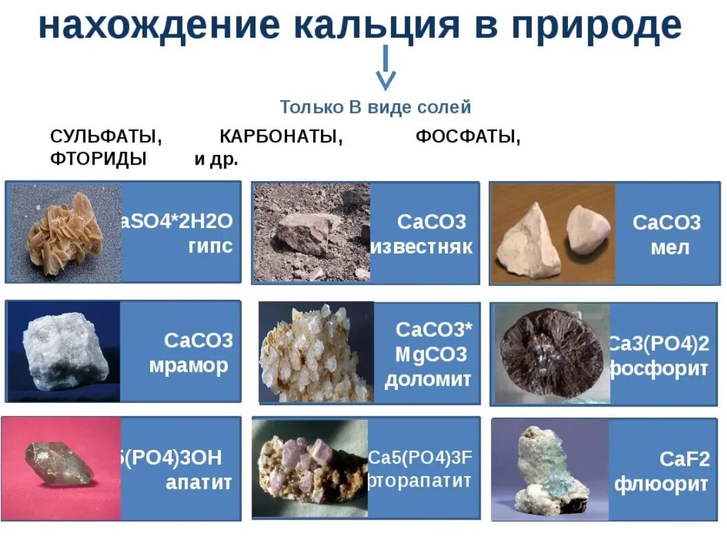 Какие минералы образуют железо в природе. Минералы кальция, магний в природе. Природные соединения кальция. Кальций в природе. Нахождение в природе кальция.