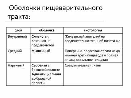 Состав органов повседневного управления