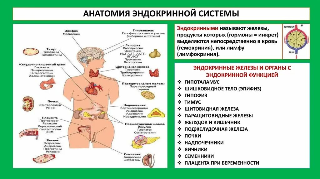 Поражение функций органов