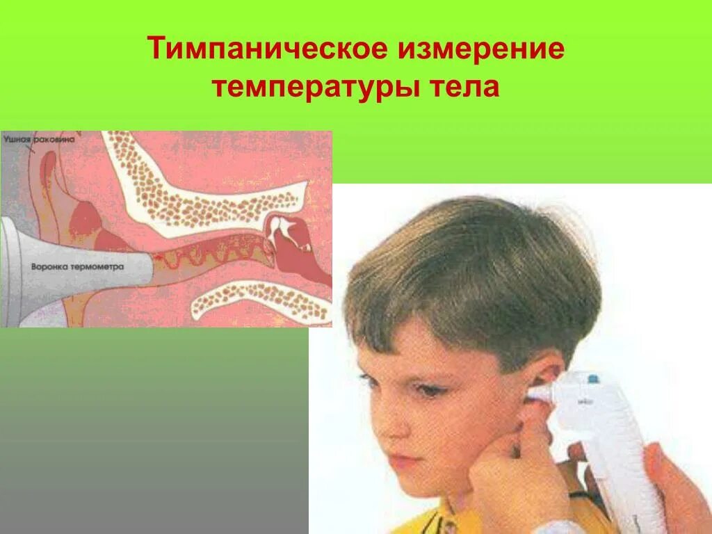 Процесс измерения температуры тела. Измерение температуры тела. темпоничесеое ищмерение температуры. тимпаническое измерение температуры. места измерения температуры тела.