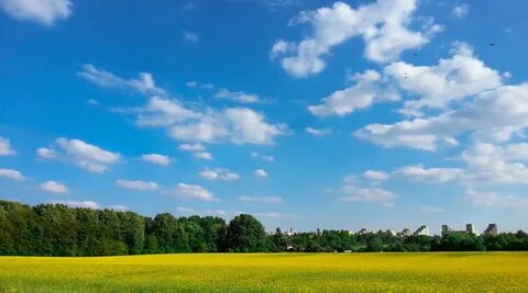 Finding sky