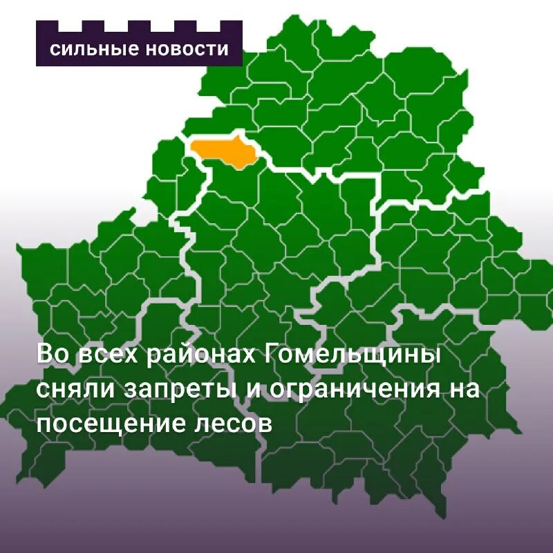 Карта запретов в лес в рб. Карта запретов на посещение лесов. леса белоруссии. районы белоруссии. карта запретов на посещение лесов в беларуси на сегодня.