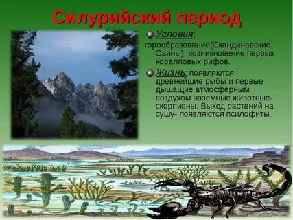 Палеозойская эра период силур