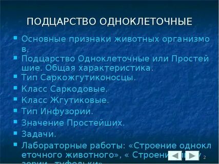 Общая характеристика одноклеточных 7 класс кратко