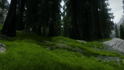 Better forest