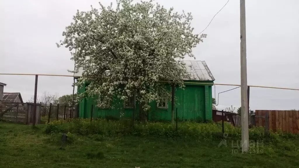 Погода в мокрые курнали. Сухие курнали.
