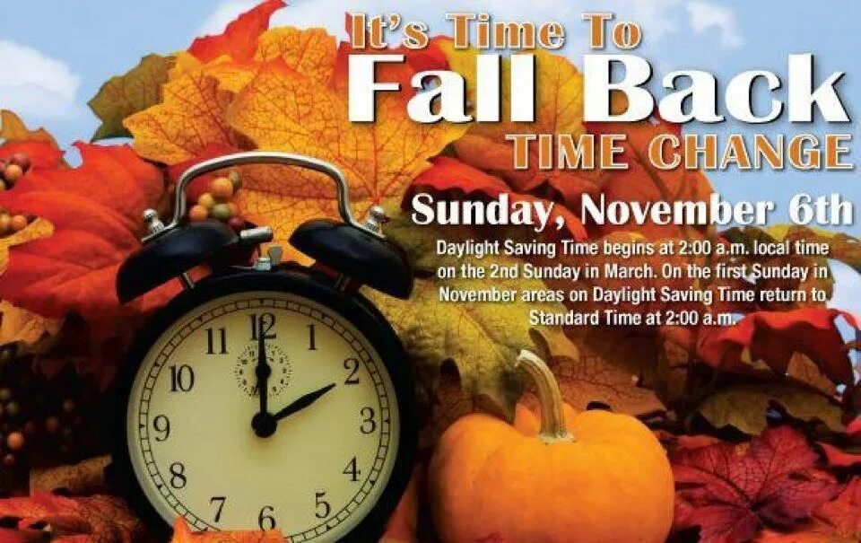 Lithe fall back. Fall время. fall back fall back. daylight saving time. 6 ноября.