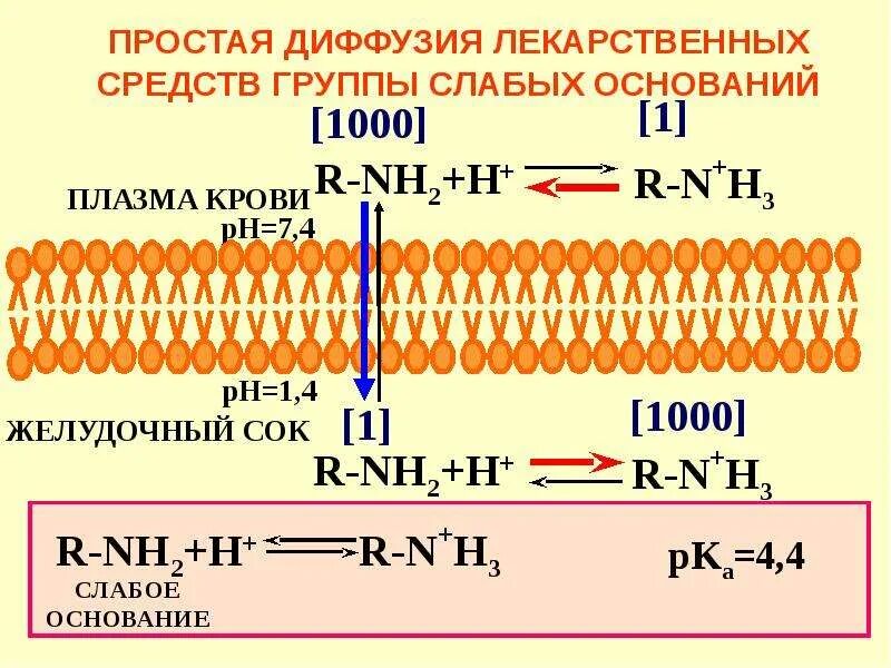 Простая диффузия примеры. Что такое простая диффузия лекарственных средств. простая диффузия. пассивная диффузия лекарственных средств. пассивная диффузия примеры лекарственных средств.