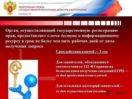 Какие органы осуществляют регистрацию юридических лиц