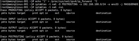 Iptables snat