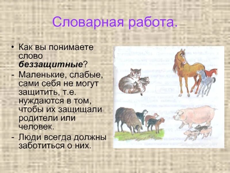 Предложение животных. Проект на тему домашние животные. сообщение на тему домашние животные. животные словарная работа. предложение на тему домашние животные.