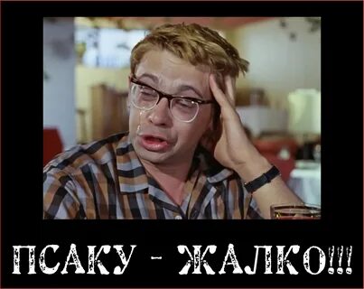 Пресс секретарь кузя