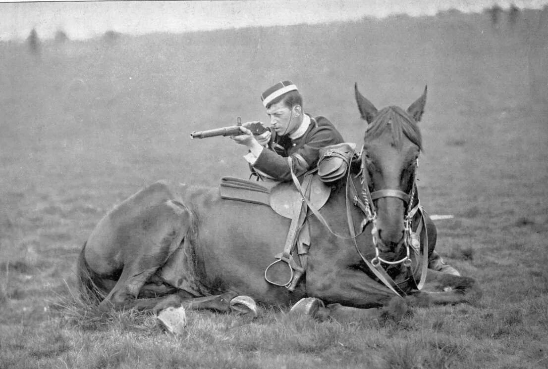 Лошади во время войны. Лошади на войне. Лошади во время Великой Отечественной войны. Боевой конь. Лошади на фронте 1941.